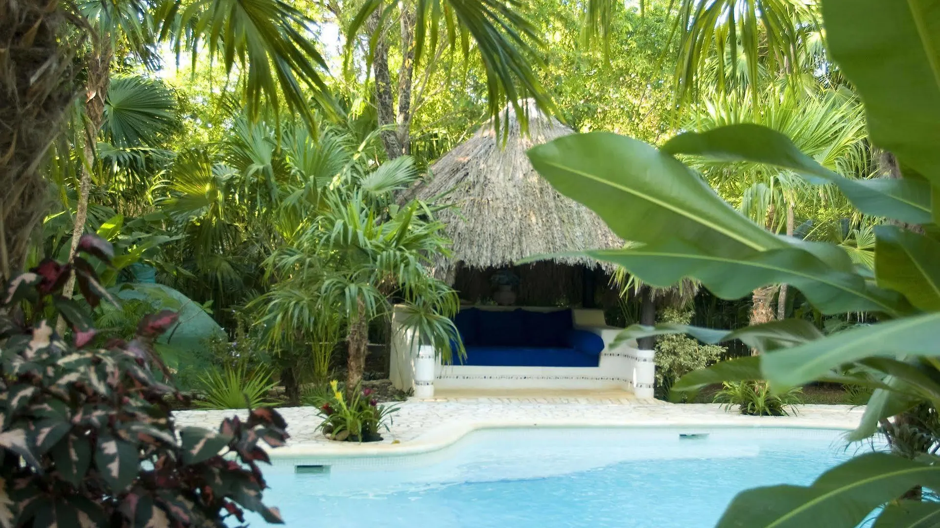 The Caves Hotel Negril Resort